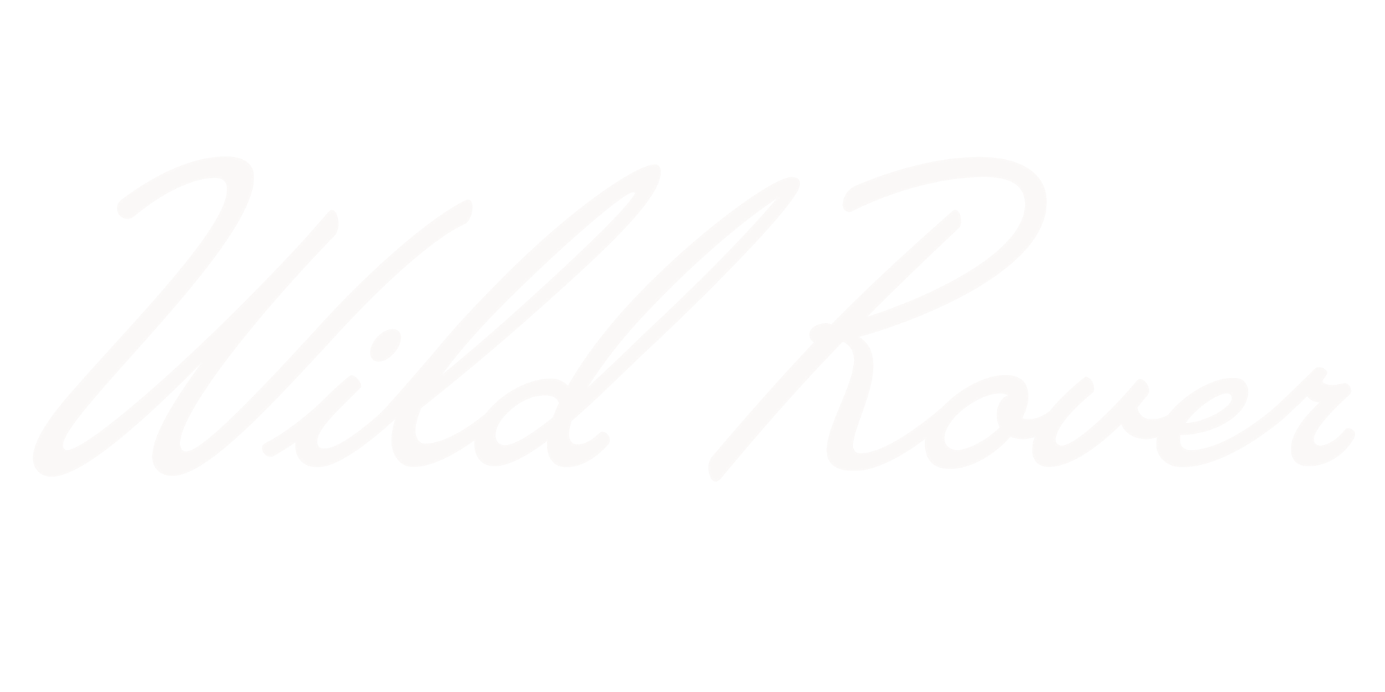 Wild Rover